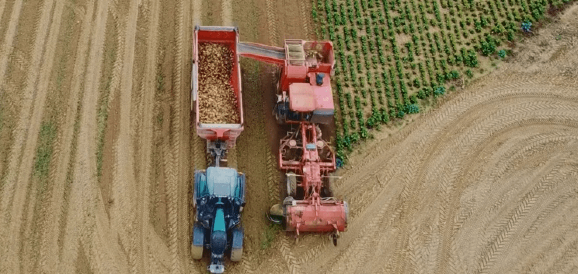 actualité Ciné-rural "Semer et récolter"