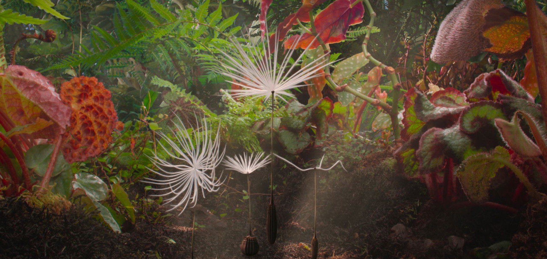 actualité "Planètes"