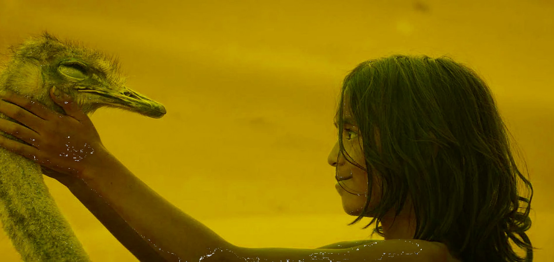 actualité Avant-première "L'enfant du désert"