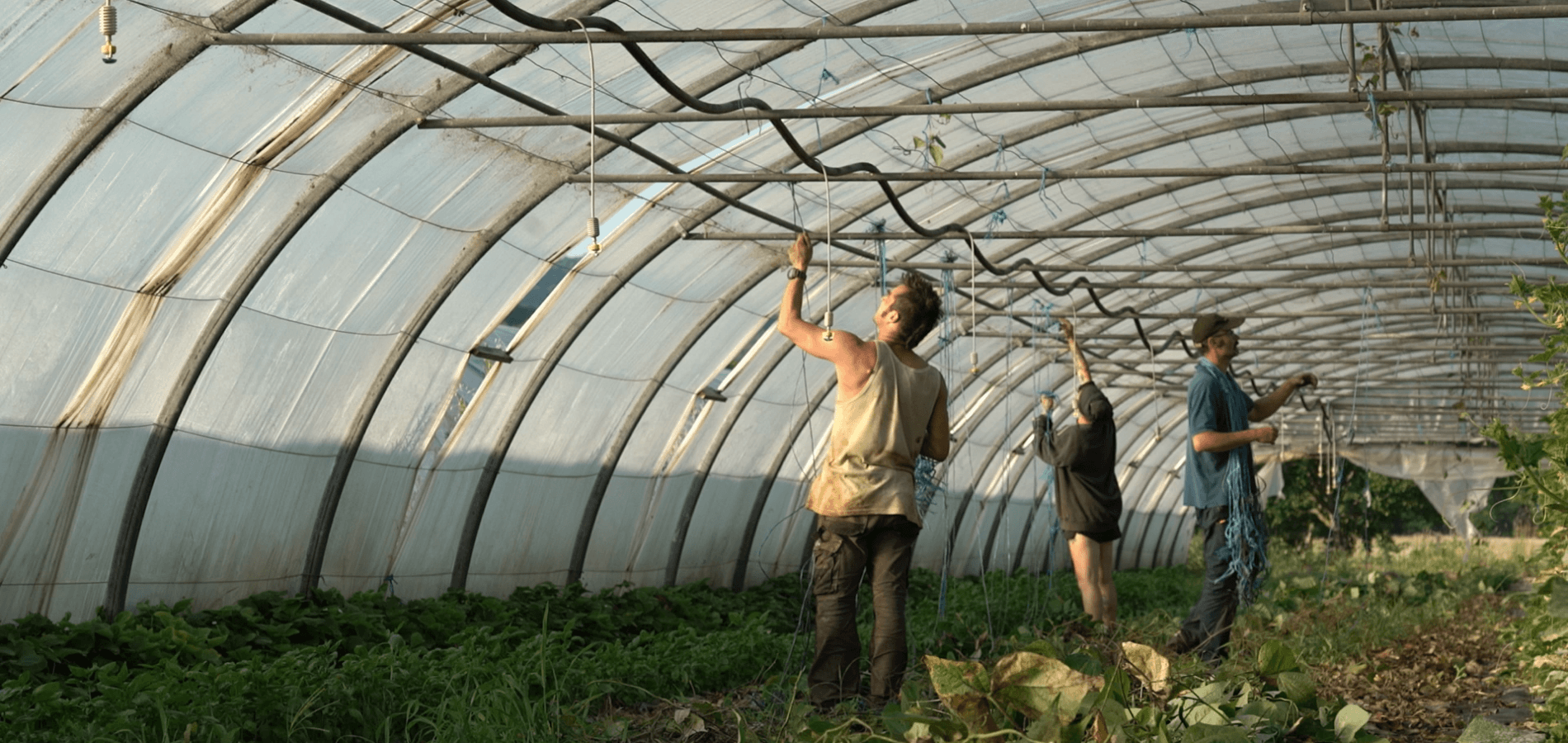 actualité Ciné-débat "La théorie  du boxeur"